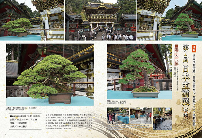 月刊「近代盆栽」2024年1月号　初心者からベテラン愛好家まで、見やすく内容充実の盆栽総合誌!! 盆栽 近盆 kinbon bonsai 月刊誌 趣味の雑誌 送料無料