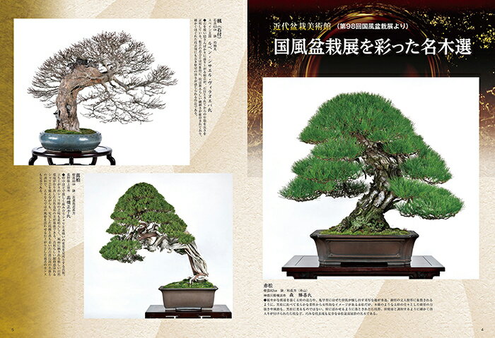 月刊「近代盆栽」2024年5月号　初心者からベテラン愛好家まで、見やすく内容充実の盆栽総合誌!! 盆栽 近盆 kinbon bonsai 月刊誌 趣味の雑誌 送料無料