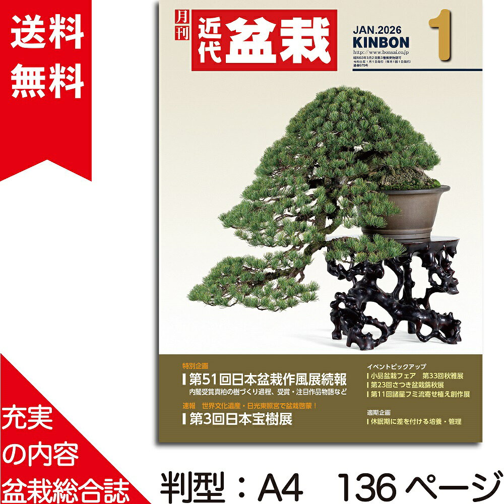 月刊「近代盆栽」2026年1月号　初心者からベテラン愛好家まで、見やすく内容充実の盆栽総合誌!! 盆栽 近盆 kinbon bonsai 月刊誌 趣味の雑誌 送料無料