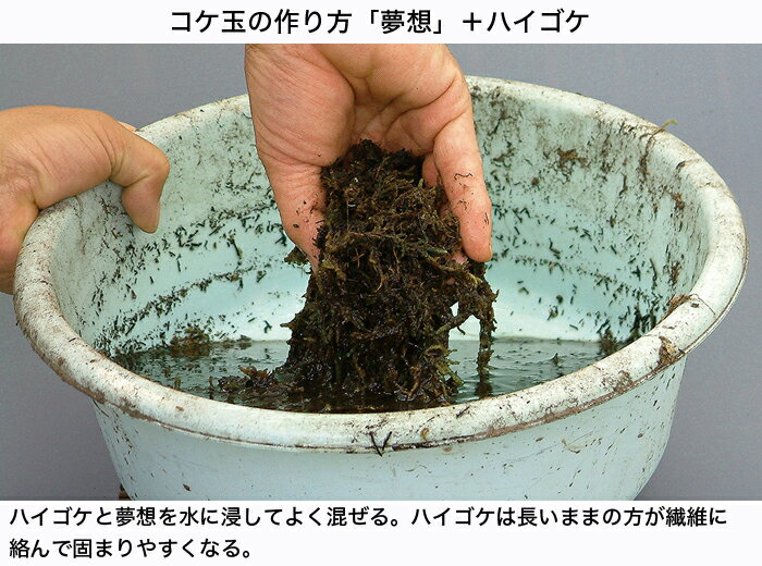 �ߺ����� ���ա���̺�������ڡ�̴�ۡ�10��åȥ����� ������ �ݶ� �Ϻ��ߺ� �ӥ��ȡ��פ˺�Ŭ �ֶ����۹�