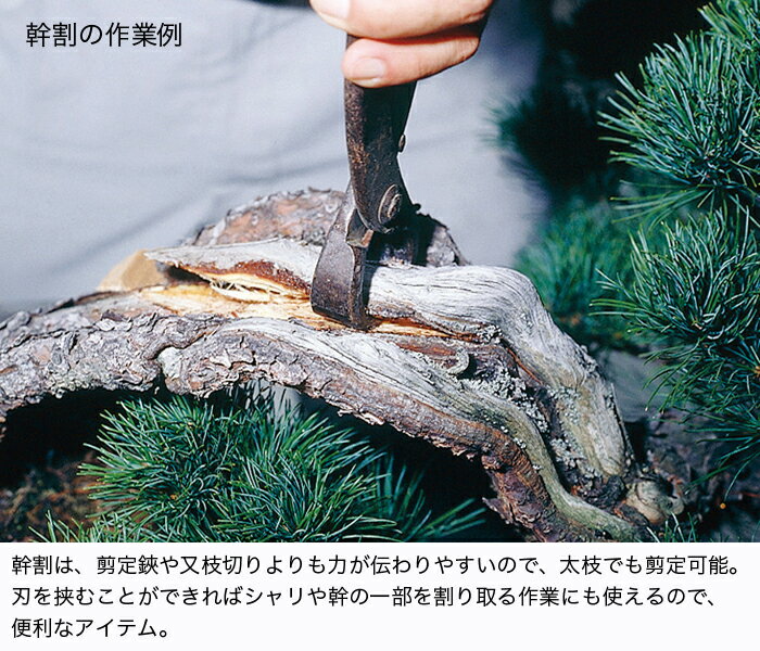 �ߺ�ƻ�� �ߺ��� �������ִ���� �� �׻�ȴ�� ���� �ξ� ���� �� ����� �����Ť��� ����ƻ�� �ߺϼ�����ƻ�� �ߤ���� ��Ĺ210mm ������ ������̵����