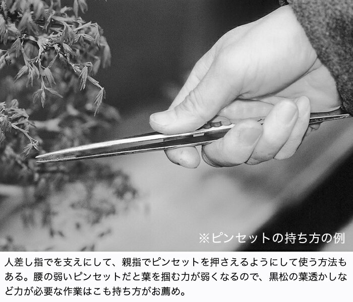 �ߺ�ƻ�� ������ƻ�� �֥��ƥ�쥹���إ��եԥ󥻥åȡ� ��Ĥ� ��Ŧ�� ���ߤ� �꤫�� �մ��� ��ȴ�� ���ռ�� ��Ĺ215mm ������