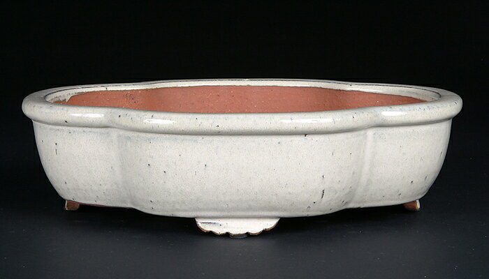 白交趾木瓜式鉢〔陶元交趾〕