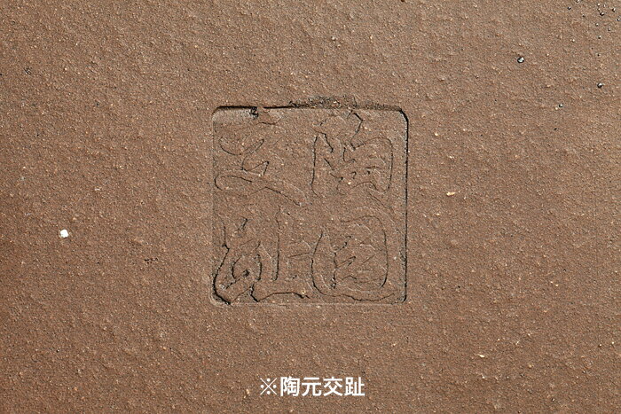 白交趾木瓜式鉢〔陶元交趾〕