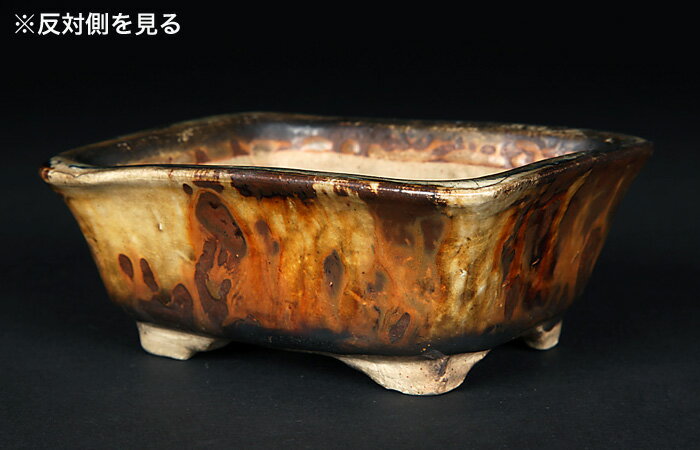 �����Ĺ��ȭ