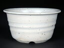 盆栽鉢 山野草鉢「信楽焼白釉丸鉢」植木鉢 色鉢 4号 12cm 白 小品 ミニ盆栽 野草 草物に最適