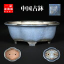 盆栽鉢 均釉外縁木瓜式鉢 植木鉢 均窯 支那鉢 中渡 大正渡 6号 18cm 青 水色 ブルー 中国宜興 鐵画軒製 落款あり 雑木盆栽 小品盆栽に最適 現品限り 【送料無料】