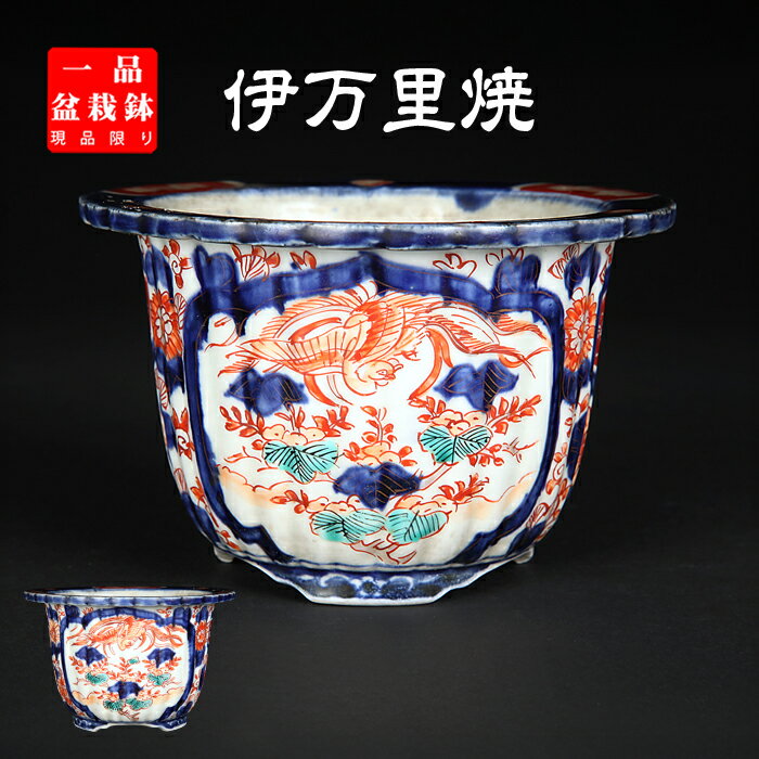 伊万里 丸形 盆栽鉢 植木鉢 楽天市場】古伊万里(植木鉢|植木鉢・プランター