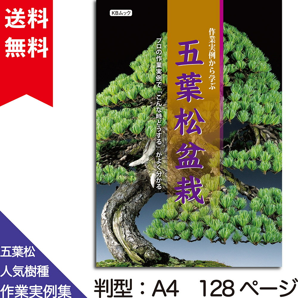 書籍 本 盆栽専門誌「作業実例から学ぶ 五葉松盆栽」 ゴヨウマツ 小品盆栽 大物盆栽 八ツ房 瑞祥 手入..