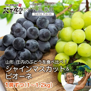 期間限定販売！山形県鶴岡市からシャインマスカットとピオーネ1房ずつを産地直送！送料無料！名山と日本海に囲まれた自然豊かな庄内で、甘い人気のぶどうを食べ比べ！2房で1〜1.2kg。9/5~9/8頃から順次発送！ご予約受付中！　シャインマスカット　ピオーネ/ブドウ/ぶどう