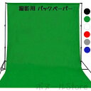 【200円クーポン配布中 送料無料】 200cm*300cmバックペーパー グリーン ポリエステル 厚地 背景布 透けない 無反射 サテン 無地 布バック スタ...