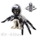 【200円クーポン配布中 送料無料】 ハロウィン ペット 服 クモ 仮装 クモ服 ペットグッズ ドッグウエア 小型犬 超小型犬 コスチューム ペット用 犬用 猫...