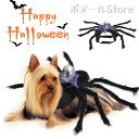 【50円クーポン配布中 送料無料】 スケルトン ハロウィン ペット 服 クモ 仮装 クモ服 ペットグッズ ドッグウエア 小型犬 超小型犬 コスチューム ペット用...