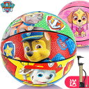 【12/11~12/19 300円OFF 3125円→2825円 送料無料】Paw Patrol パウパトロール サッカーボール ジュニア用 子供 キッズ ミニバスケットボール（18cm、22cm）ボール 天然ゴム 子供用 ラバーボール ボール 外遊び 室内 子供用 かわいい おもちゃ