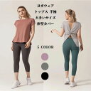 【50円クーポン配布中!】 ヨガウェア トップス 半袖 ロング丈 Tシャツ レディース フィットネスウェア バックオープン 大きいサイズ スポーツウェア ヨガ ...