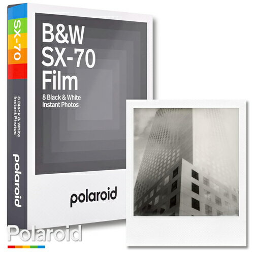 Polaroid B&W SX-70 Film ポラロイド フィ