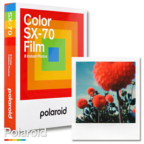 Polaroid Color SX-70 Flim ポラロイド フィ