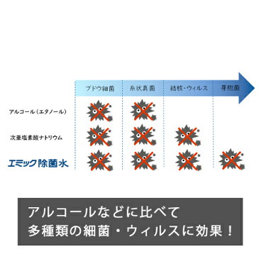 次亜塩素酸水 業務用 500ml エミック除菌水 PPM濃度：60ppm / pH値：6pH 除菌スプレー 消臭剤