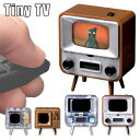 指先サイズ ミニチュアテレビ TinyTV タイニーTV TinyTV2 : 1インチIPS液晶 前面スピーカー TinyTV mini : 0.6インチ有機ELディスプレイ 内蔵スピーカー 超小型ディスプレイ ブラウン管テレビ風 昭和 レトロ かわいい ※リモコンは別売りです