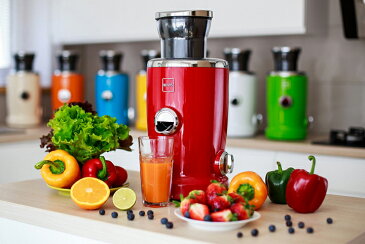 ジューサー マルチジューサーVita Juicer ビタ・ジューサー【送料無料】スロージューサー フレッシュジュース スムージー フルーツ ピューレ 健康 ダイエット 掃除簡単 遠心分離 DCモーター デザイン家電