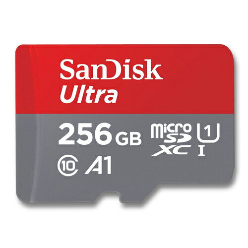 SanDisk マイクロSDカード 256GBmicroSD