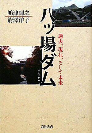 八ッ場ダム 過去、現在、そして未来 [ 嶋津 暉之 ]のサムネイル