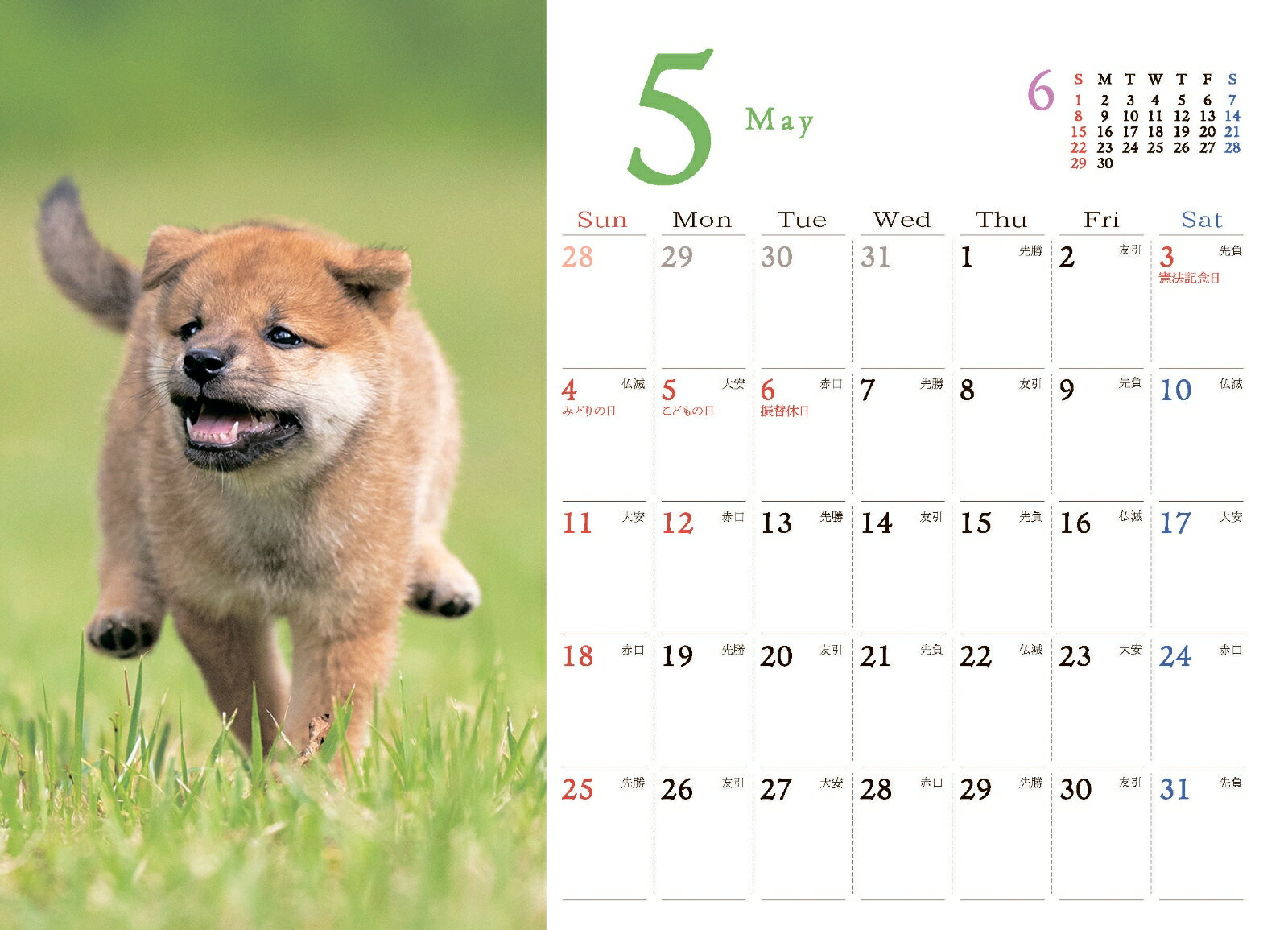 ���Ф��̥������� 2025 [ ˪�� ʸ�� ]