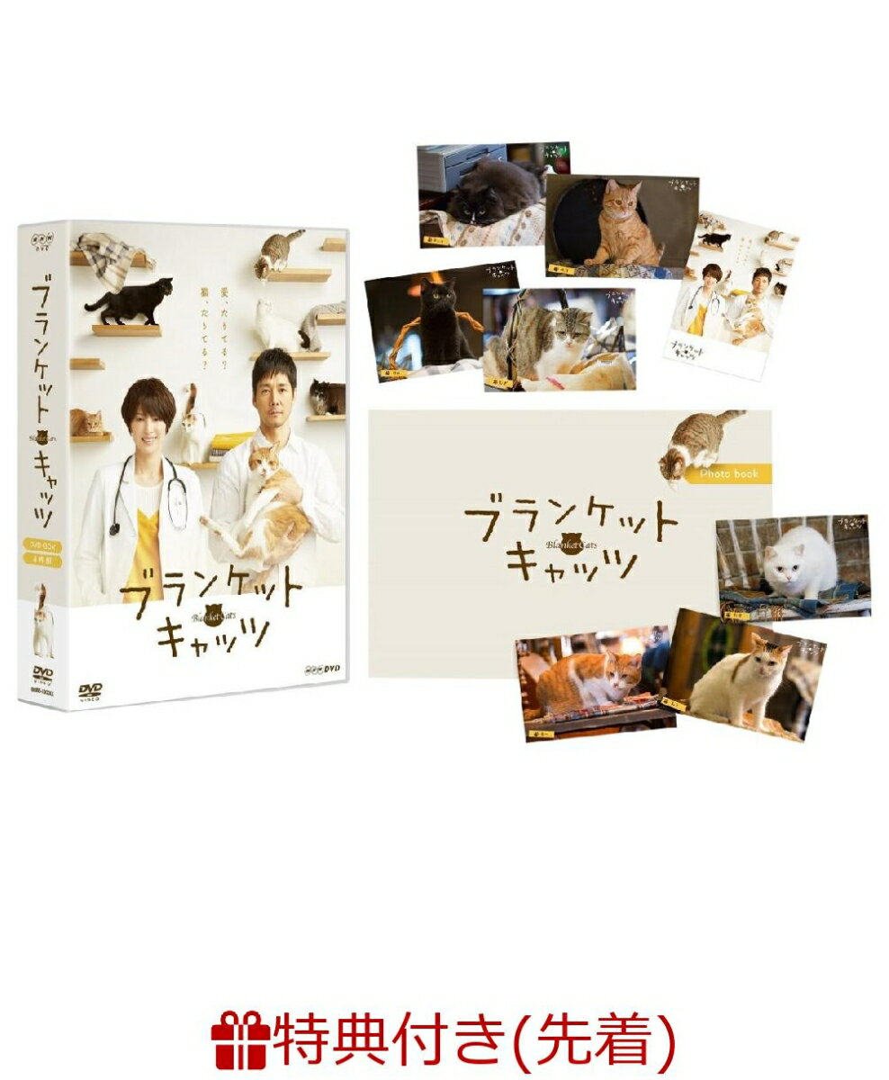 【先着特典】ブランケット・キャッツ DVD-BOX(特製クリアファイル付き)