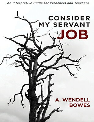 Consider My Servant Job: An Interpretive Guide for Preachers and Teachers CONSIDER MY SERVANT JOB 