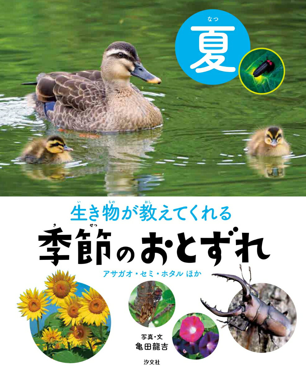 楽天市場】クレイジーカンガルーの夏 誼阿古の通販 楽天市場】クレイジーカンガルーの夏 誼阿古の通販