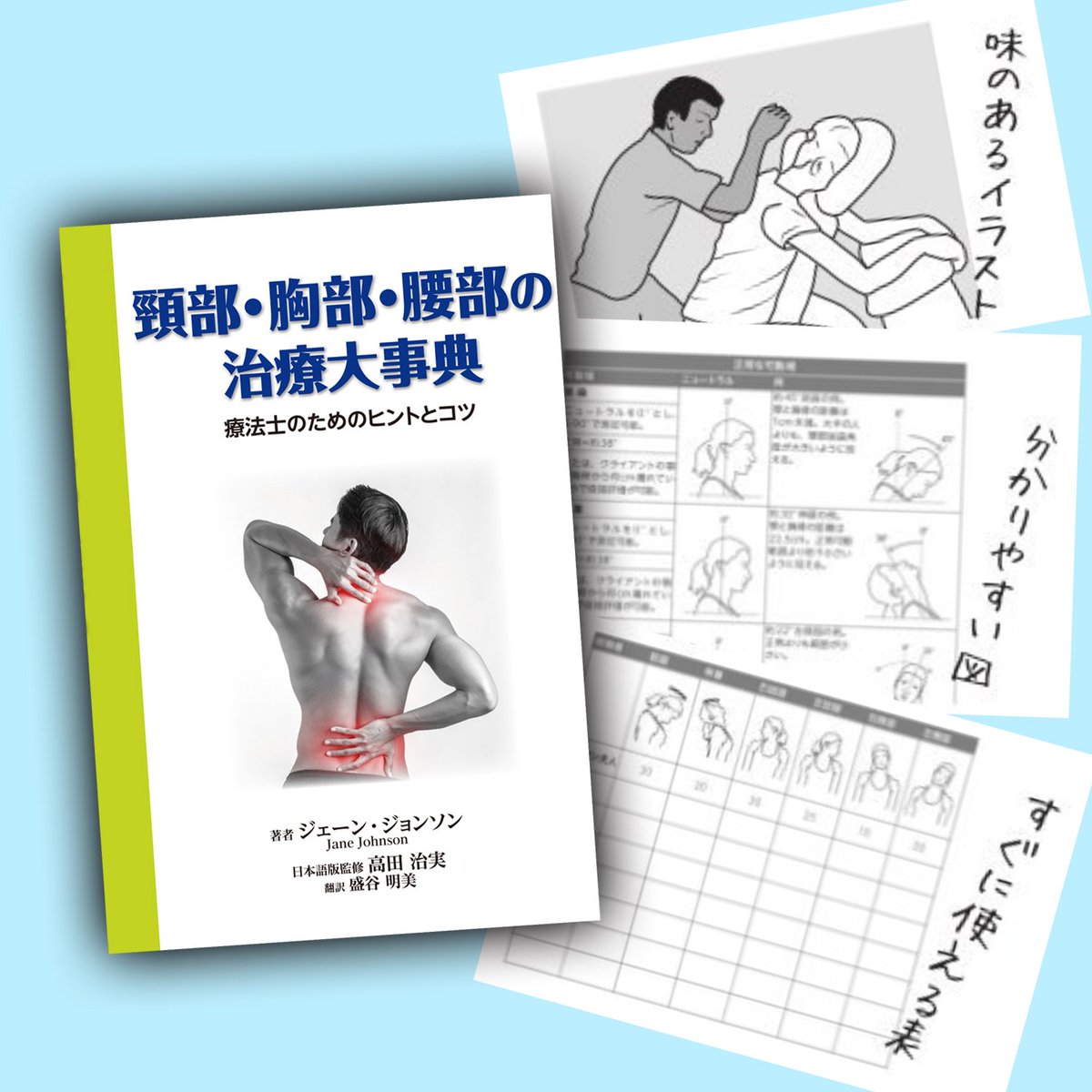 楽天ブックスの頸部・胸部・腰部の治療大事典　セラピストのためのヒントとコツ [ ジェーン・ジョンソン ]｜アングル3