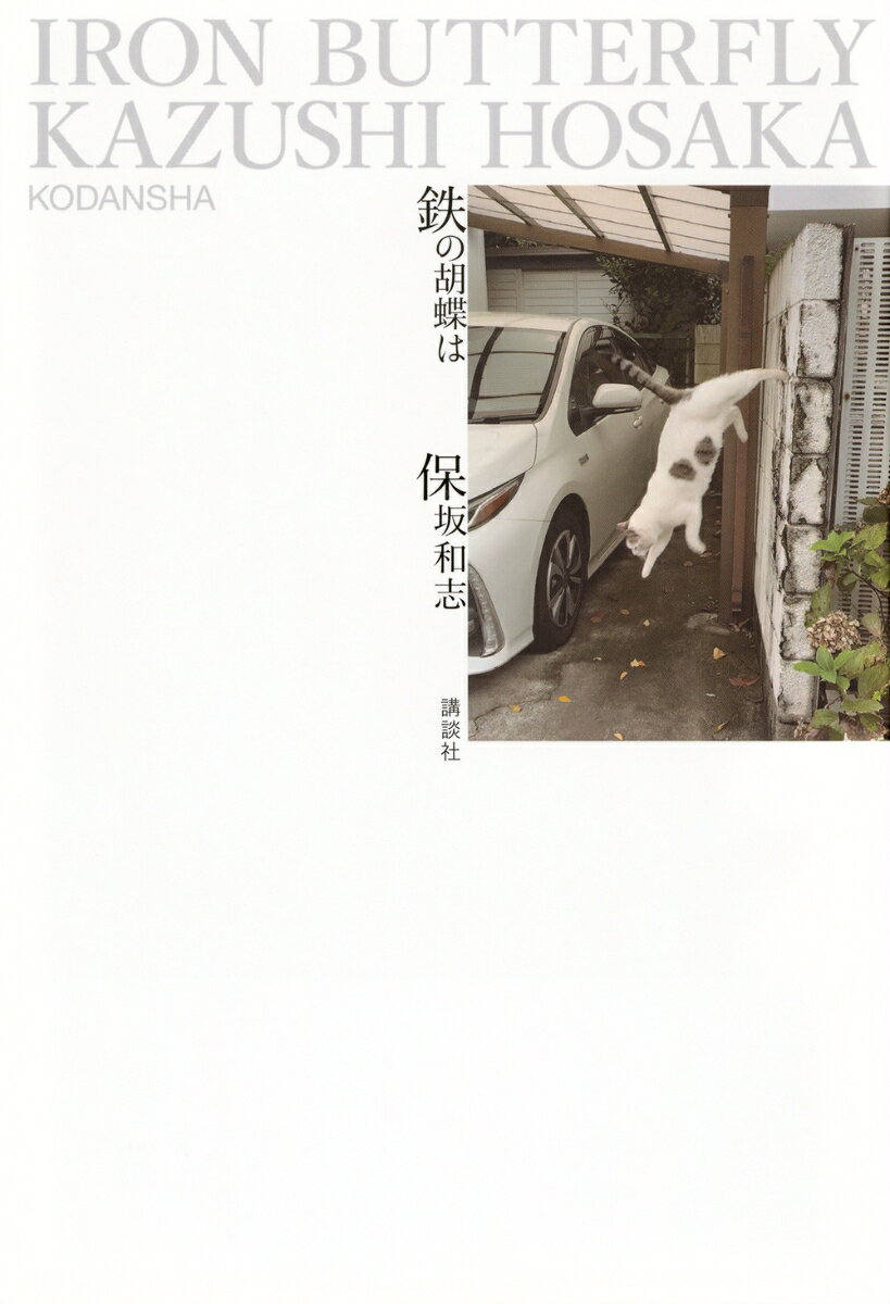 鉄の胡蝶は