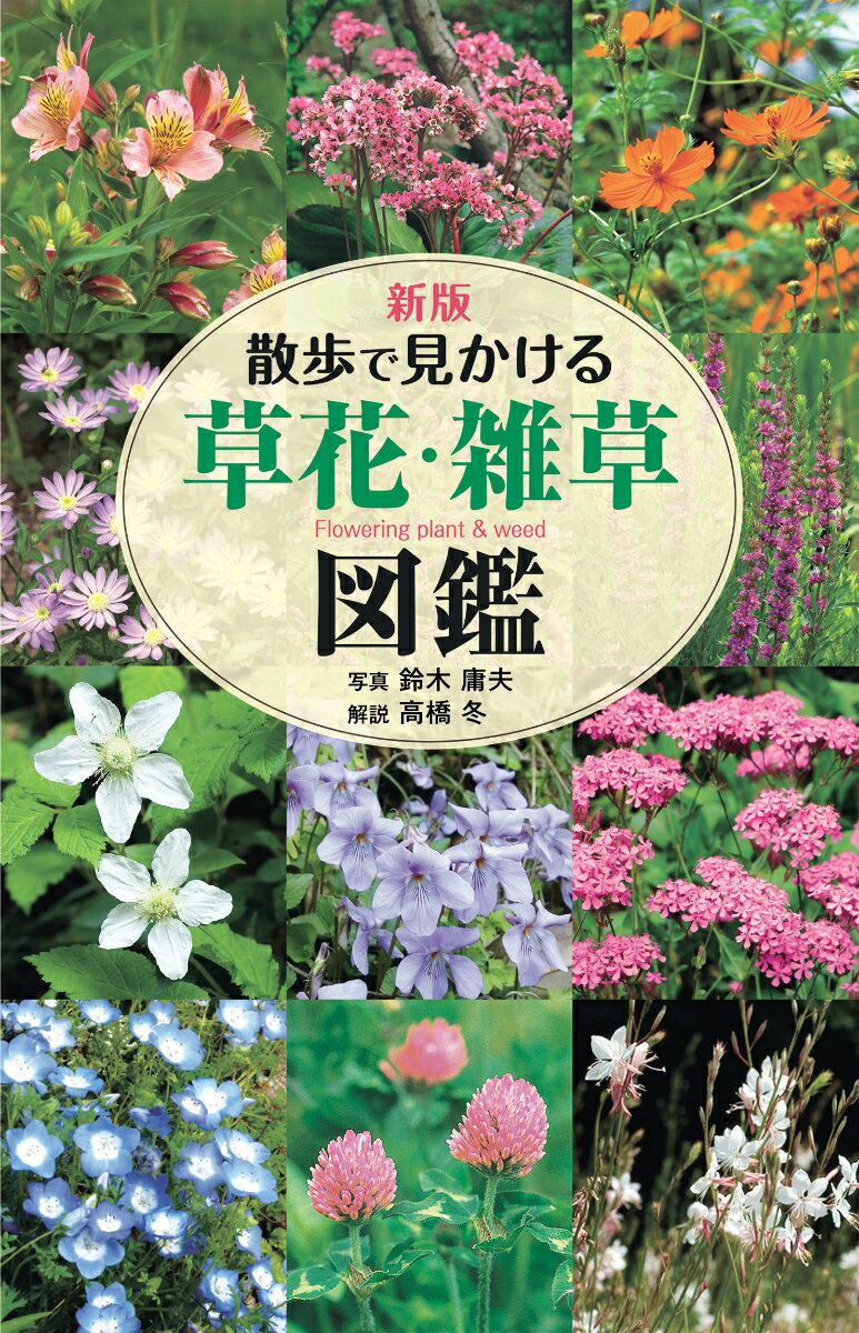 新版 散歩で見かける草花・雑草図鑑 [ 鈴木 庸夫 ]