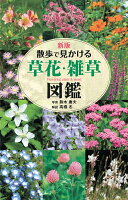 新版 散歩で見かける草花・雑草図鑑