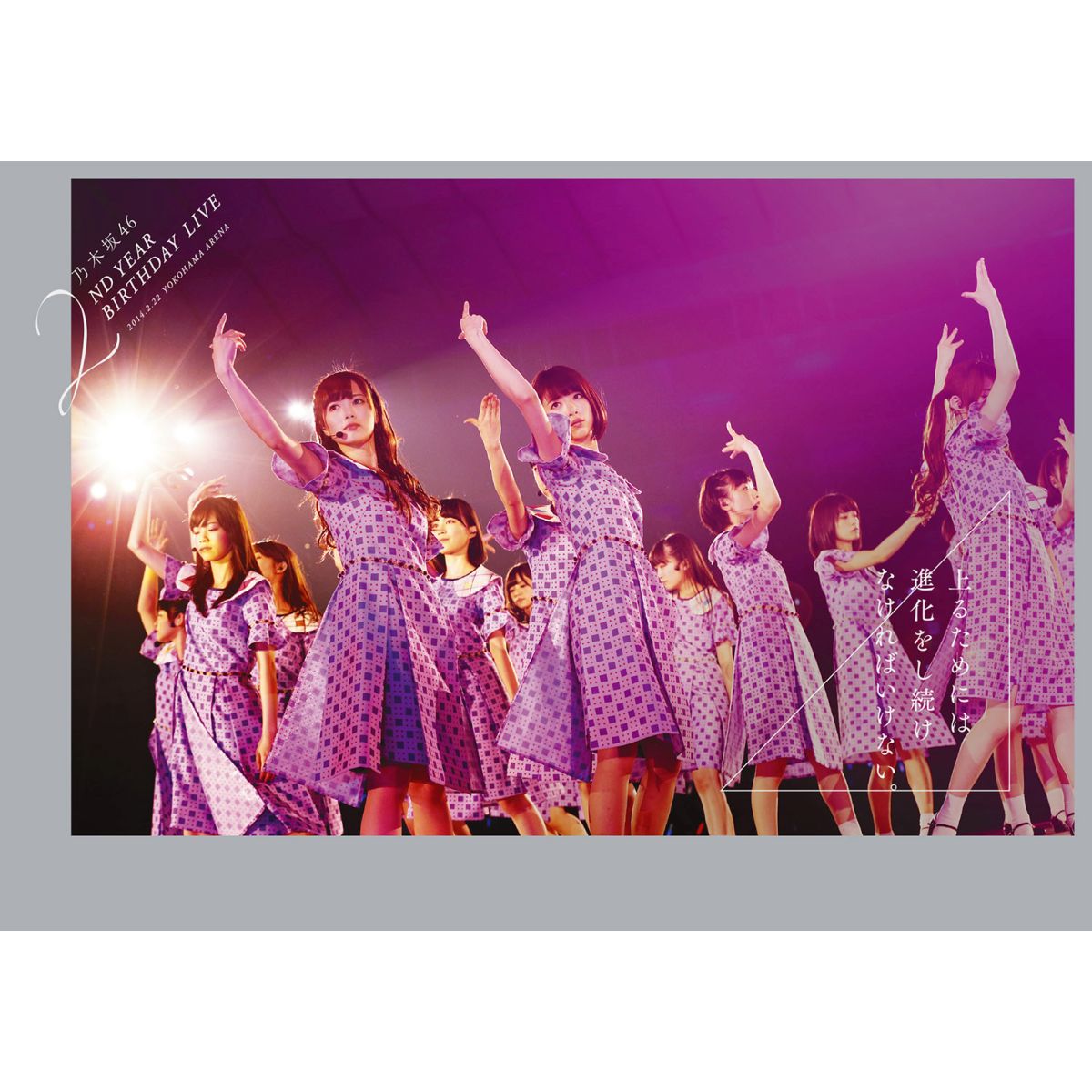 乃木坂46 2ND YEAR BIRTHDAY LIVE 2014.2.22 YOKOHAMA ARENA 【通常盤】 乃木坂46