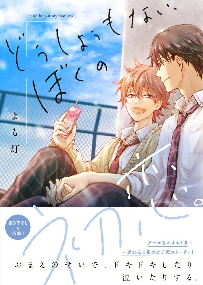 どうしようもない、ぼくの初恋。(1)