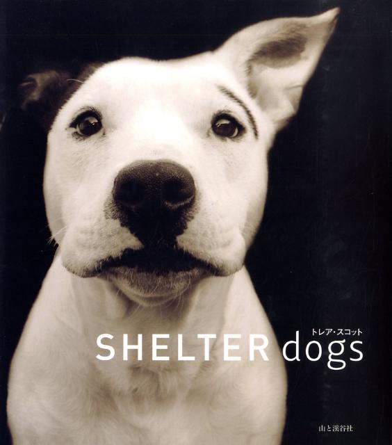 シェルタードッグズ