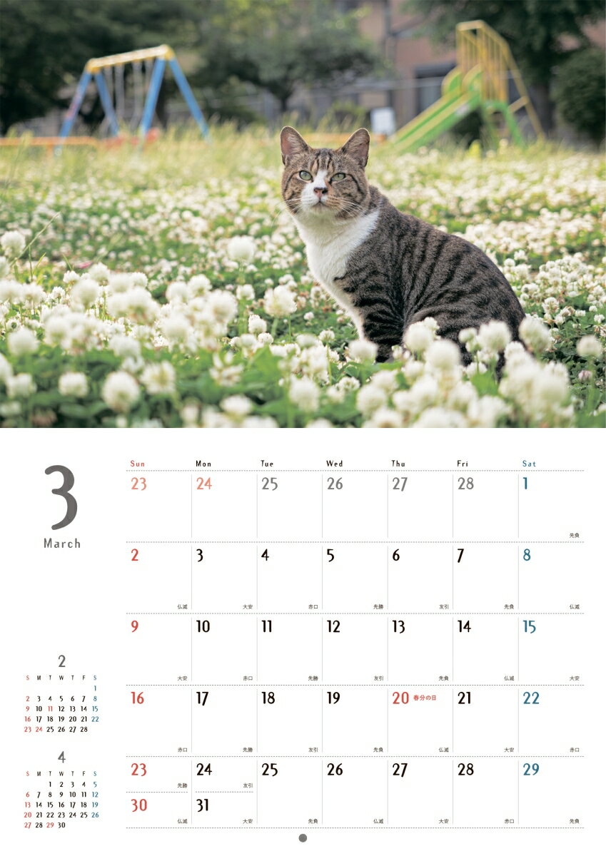 まちかどの猫カレンダー 2025 [ 阪 靖之 ]の紹介画像3