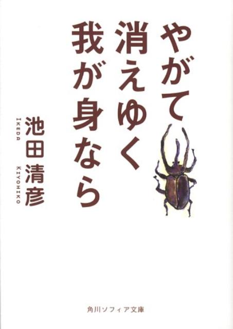 やがて消えゆく我が身なら