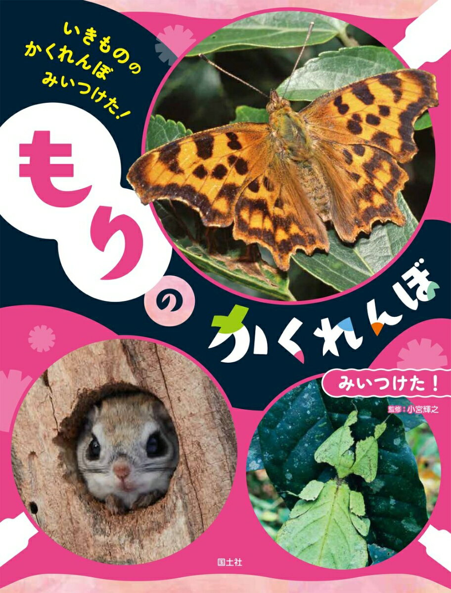 もりの　かくれんぼ　みいつけた！（2）