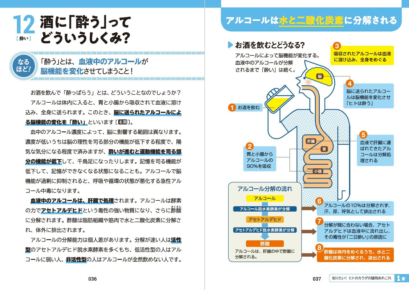 イラスト&図解 知識ゼロでも楽しく読める! 人...の紹介画像3