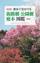 改訂版　散歩で見かける街路樹・公園樹・庭木図鑑 [ 葛西　愛 ]