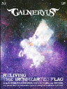 GALNERYUS【VDCP_700】 リリビング ジ アイアンハーテッド フラグ ガルネリウス 発売日：2014年03月26日 予約締切日：2014年03月22日 (株)バップ 【映像特典】 Concert Documentary VPXQー79003 JAN：4988021790031 16:9 カラー 日本語(オリジナル言語) リニアPCM(オリジナル音声方式) RELIVING THE IRONHEARTED FLAG DVD ブルーレイ ミュージック・ライブ映像