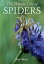 The Private Life of Spiders PRIVATE LIFE OF SPIDERS [ Paul Hillyard ]