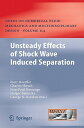 Unsteady Effects of Shock Wave Induced Separation UNSTEADY EFFECTS OF SHOCK WAVE...