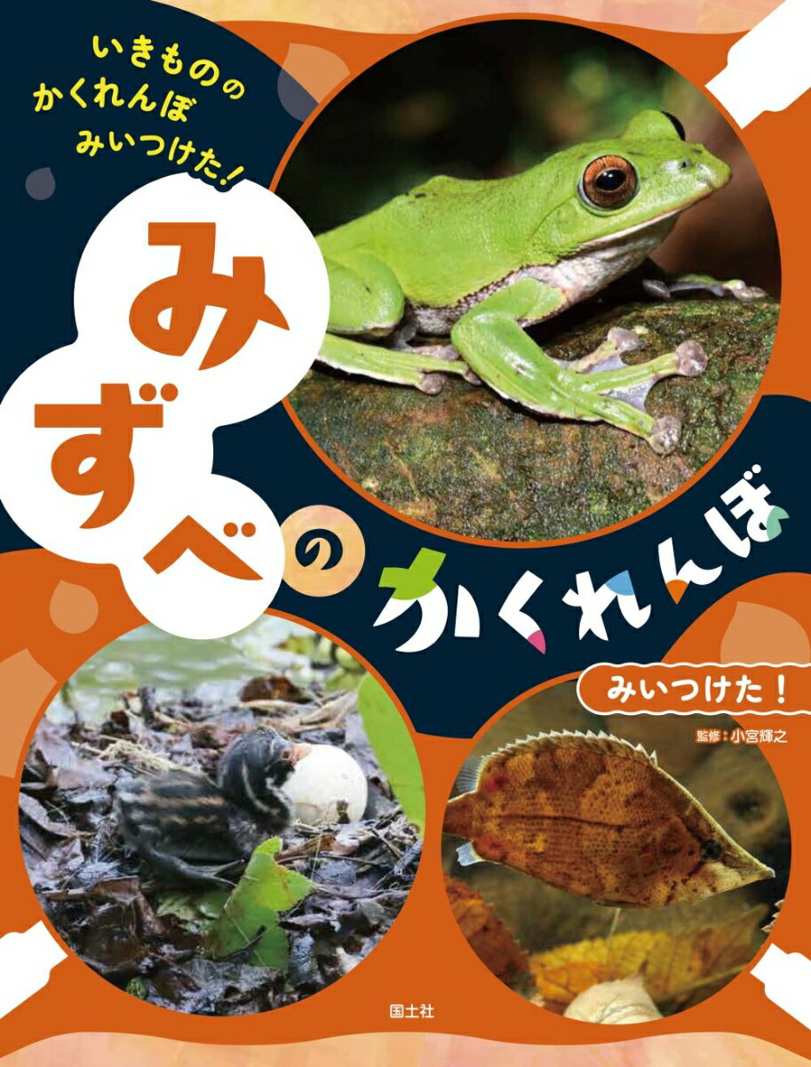 みずべの　かくれんぼ　みいつけた！