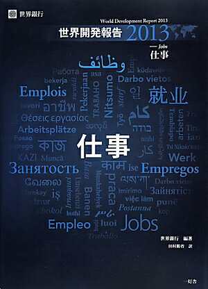 世界開発報告（2013）