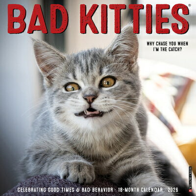 Bad Kitties 2026 Wall Calendar BAD KITTIES 2026 WALL CAL [ Willow Creek Press ]