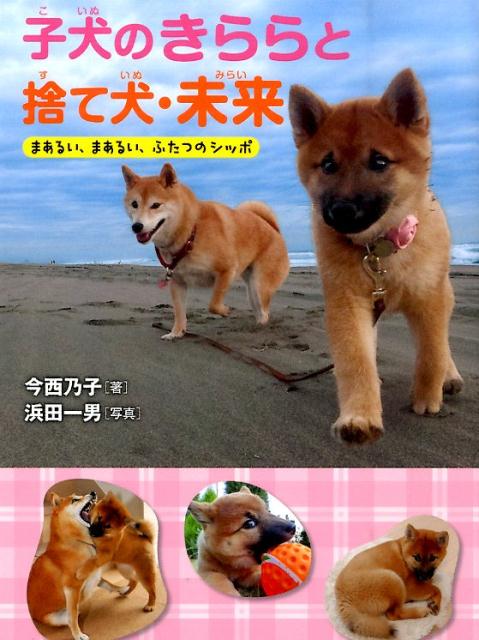 子犬のきららと捨て犬・未来