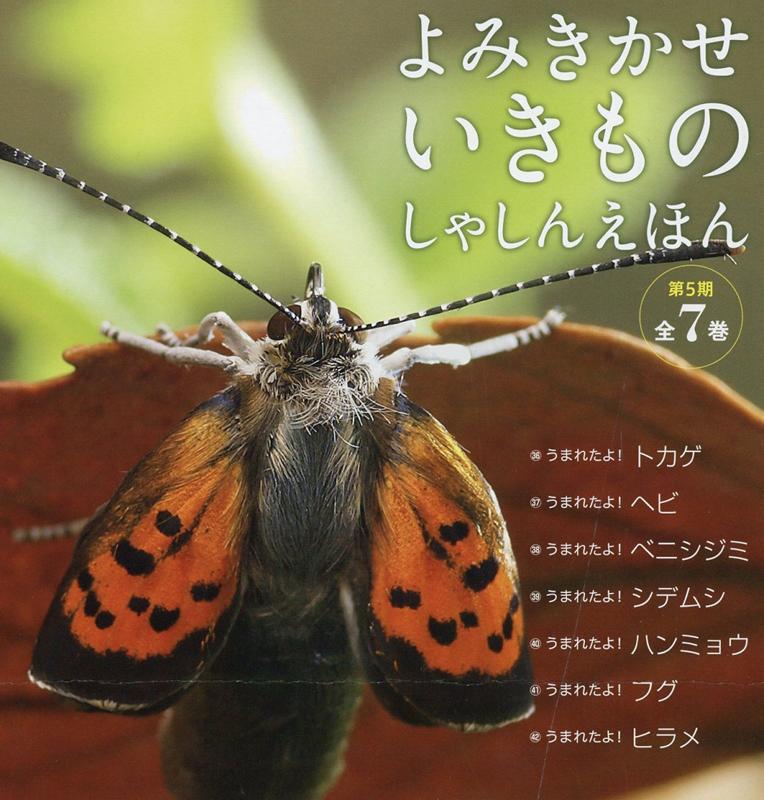 ��ߤ�����������Τ��㤷�󤨤ۤ���5������7�����åȡ�